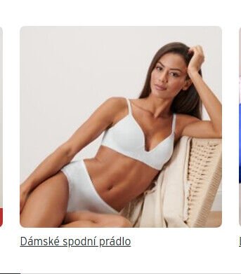 Dámské spodní prádlo