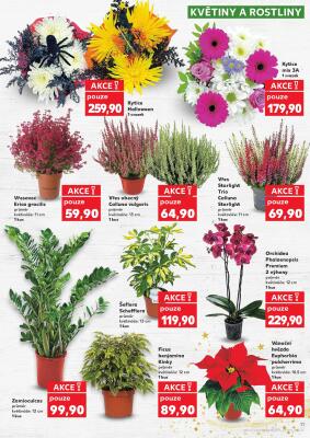 akční leták Kaufland 29.10.2025-4.11.2025