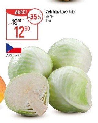 Zelí hlávkové bílé