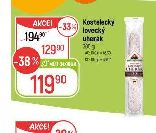 Kostelecký lovecký uherák