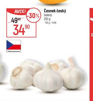 Česnek český