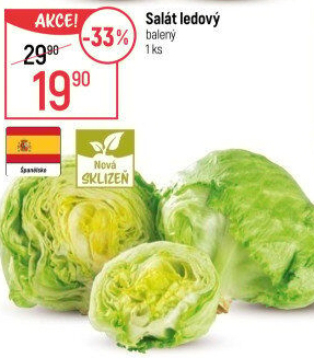 Salát ledový