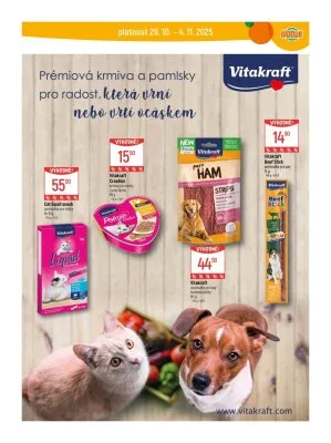 akční leták Globus 29.10.2025-4.11.2025