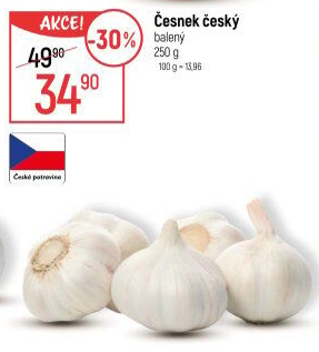 Česnek český