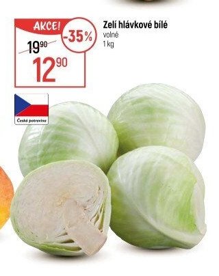 Zelí hlávkové bílé