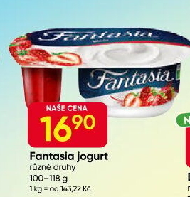Jogurt Fantasia Danone