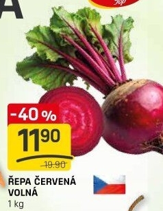 Červená řepa