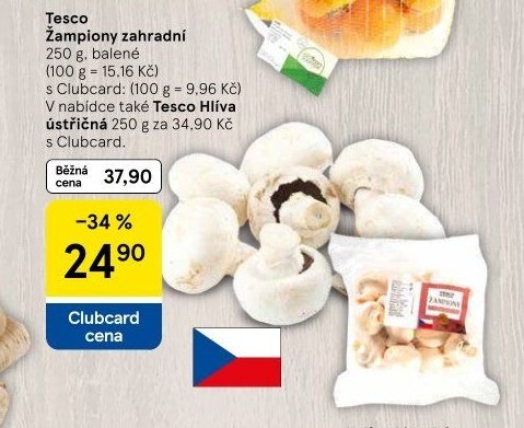Tesco Žampiony zahradní