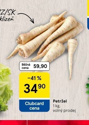 Petržel