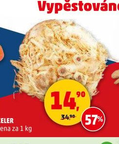 CELER