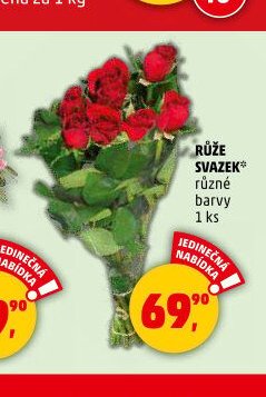 RŮŽE SVAZEK