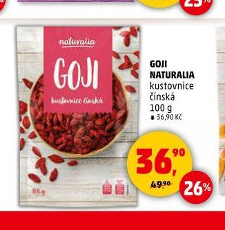 GOJI NATURALIA kustovnice čínská