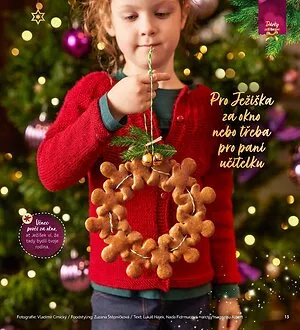 akční leták Albert 30.10.2025-25.11.2025