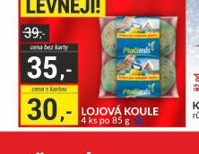 LOJOVÁ KOULE