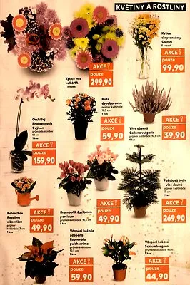 akční leták Kaufland 5.11.2025-11.11.2025