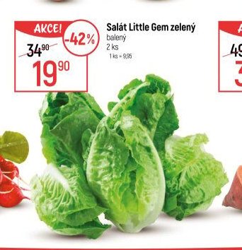 Salát Little Gem zelený