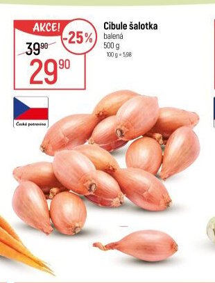 Cibule šalotka