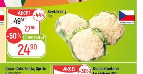 Květák bílý