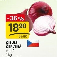 Cibule červená