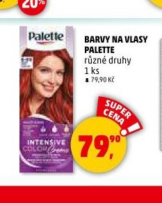 BARVY NA VLASY PALETTE
