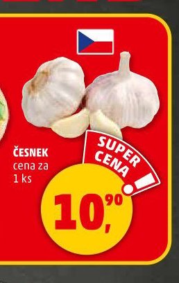 Česnek