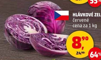 Zelí hlávkové červené