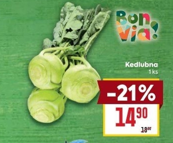 Kedlubna bílá Billa Bonvia