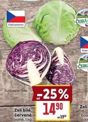 Zelí hlávkové bílé Česká farma