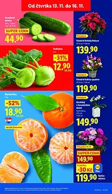akční leták Lidl 13.11.2025-16.11.2025