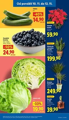akční leták Lidl 10.11.2025-12.11.2025