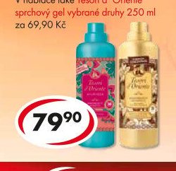 Tesori d´Oriente aviváž