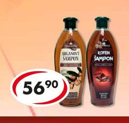 Šampon
