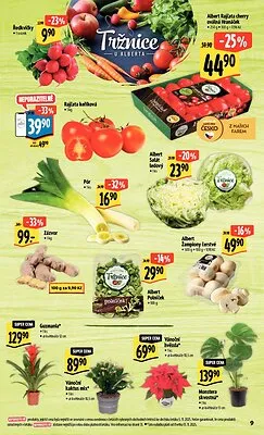 akční leták Albert 12.11.2025-18.11.2025