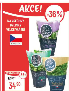 Bylinky v květináči