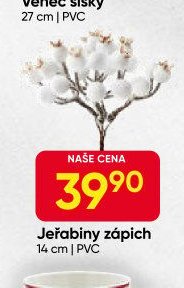 Jeřabiny zápich