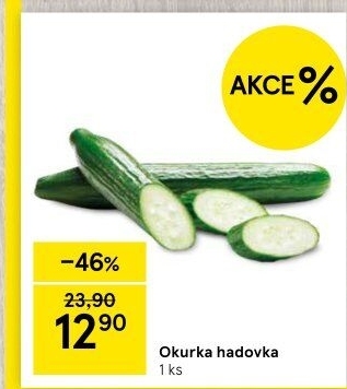 Okurka salátová - hadovka