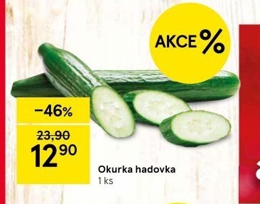 Okurka salátová - hadovka