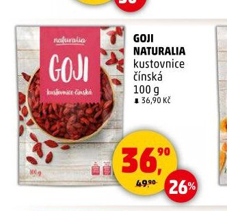 GOJI NATURALIA kustovnice čínská