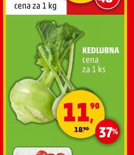 KEDLUBNA