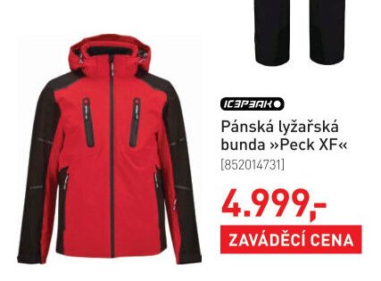 Pánská lyžařská bunda »Peck XF«