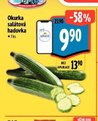 Okurka salátová hadovka