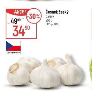 Česnek český