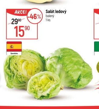 Salát ledový