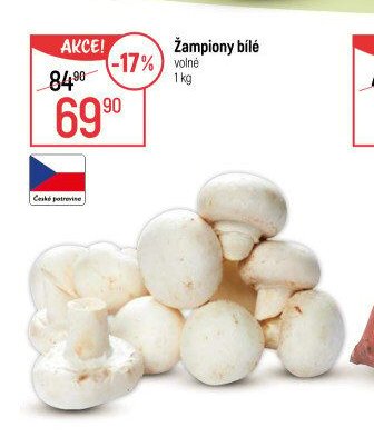 Žampiony bílé