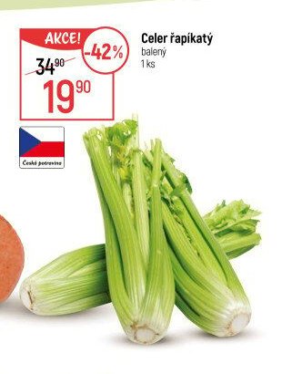 Celer řapíkatý