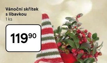 Vánoční skřítek s libavkou