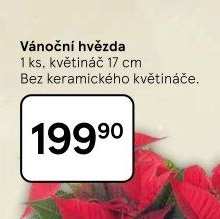 Vánoční hvězda