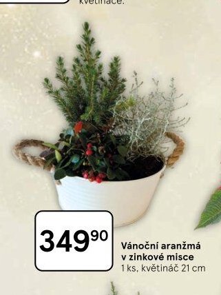 Vánoční aranžmá v zinkové misce