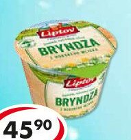 Bryndza