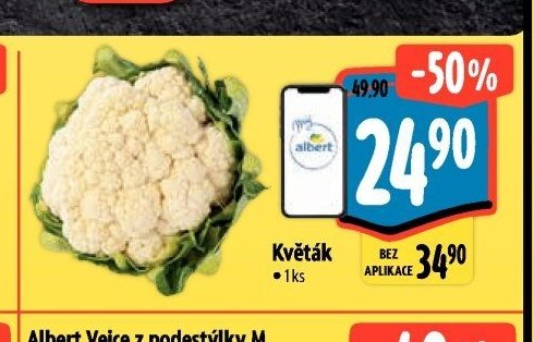 Květák